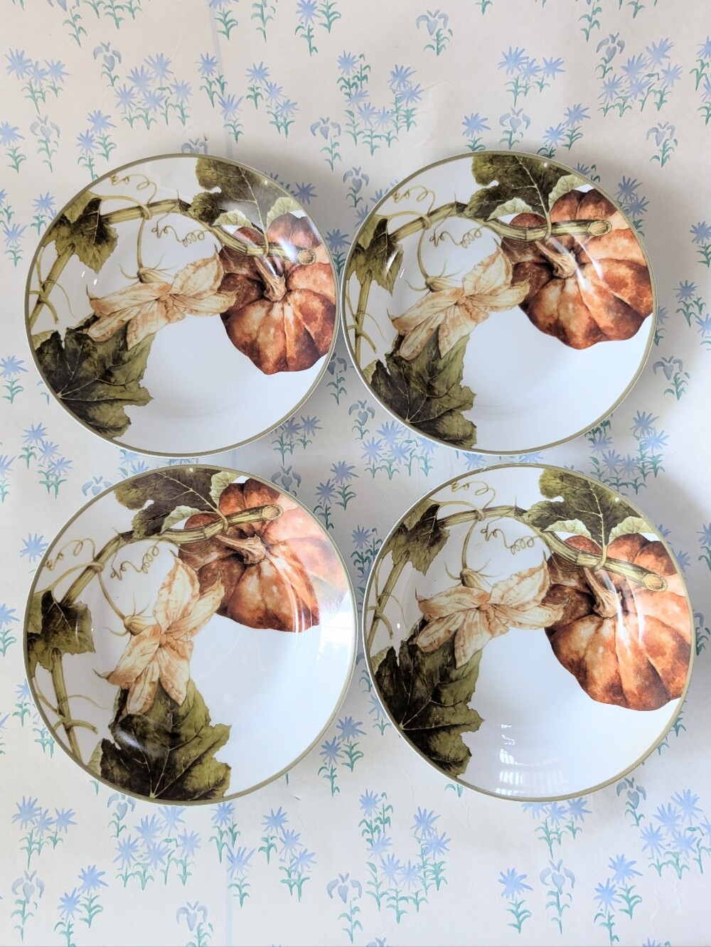 Williams Sonoma Botanical Pumpkin Large Rim Soup Bowl Set of 4 Harvest Dining